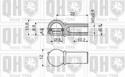 Quinton Hazell QTS128262 - Газова пружина, кришка багажник autocars.com.ua