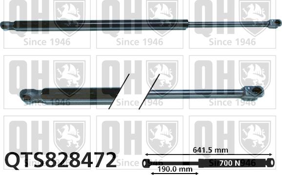 Quinton Hazell QTS828472 - Газовая пружина, упор avtokuzovplus.com.ua