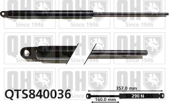 Quinton Hazell QTS840036 - Газова пружина, кришка багажник autocars.com.ua