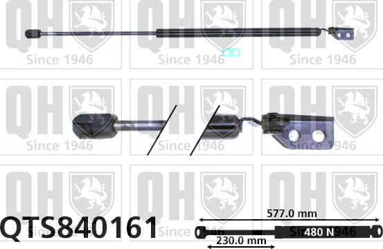 Quinton Hazell QTS840161 - Газовая пружина, упор avtokuzovplus.com.ua