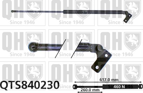 Quinton Hazell QTS840230 - Газова пружина, кришка багажник autocars.com.ua