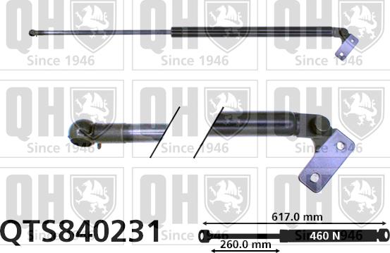 Quinton Hazell QTS840231 - Газова пружина, кришка багажник autocars.com.ua