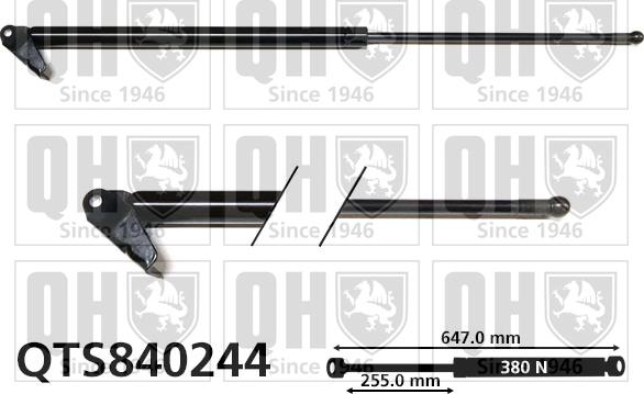 Quinton Hazell QTS840244 - Газова пружина, кришка багажник autocars.com.ua