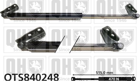 Quinton Hazell QTS840248 - Газова пружина, кришка багажник autocars.com.ua