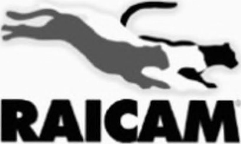 Raicam RC6404 - Комплект зчеплення autocars.com.ua
