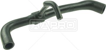 Rapro R25419 - Шланг, вентиляція картера autocars.com.ua