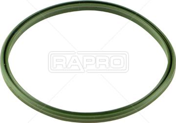 Rapro R25608 - Хомут, воздушный шланг компрессора avtokuzovplus.com.ua