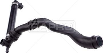 Rapro R25687 - Шланг, вентиляція картера autocars.com.ua