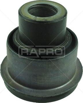 Rapro R51583 - Подушка, опора, подвеска двигателя autodnr.net