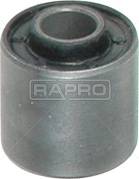 Rapro R59639 - Подушка, опора, подвеска двигателя autodnr.net