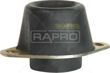 Rapro R59741 - Подушка, підвіска двигуна autocars.com.ua