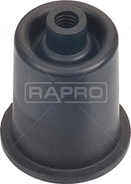 Rapro R59974 - Втулка, вал сошки рулевого управления autodnr.net
