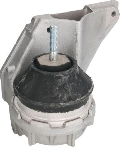 REINHOCH RH11-0001 - Подушка, підвіска двигуна autocars.com.ua