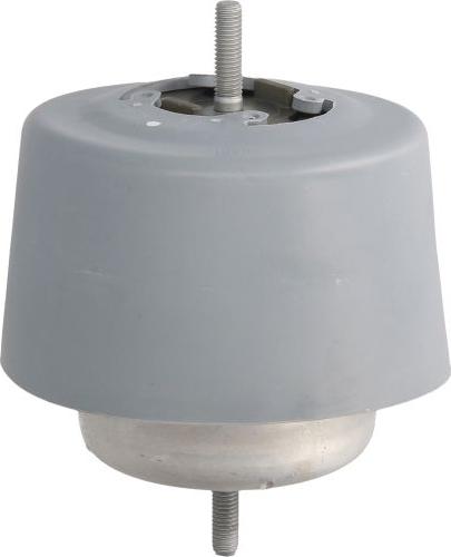 REINHOCH RH11-0037 - Подушка, підвіска двигуна autocars.com.ua