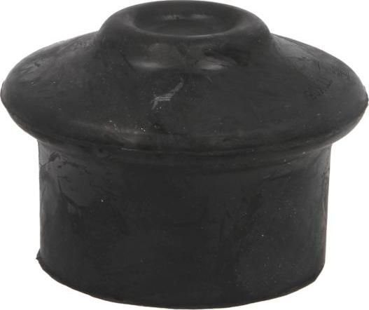 REINHOCH RH11-0038 - Подушка, підвіска двигуна autocars.com.ua