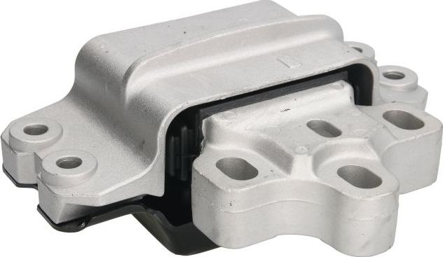 REINHOCH RH11-0101 - Підвіска, автоматична коробка передач autocars.com.ua