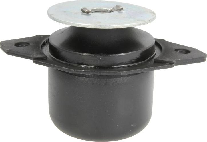 REINHOCH RH11-0108 - Подушка, підвіска двигуна autocars.com.ua