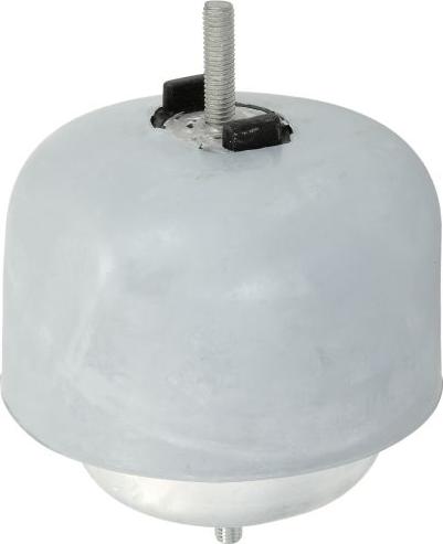 REINHOCH RH11-0119 - Подушка, підвіска двигуна autocars.com.ua