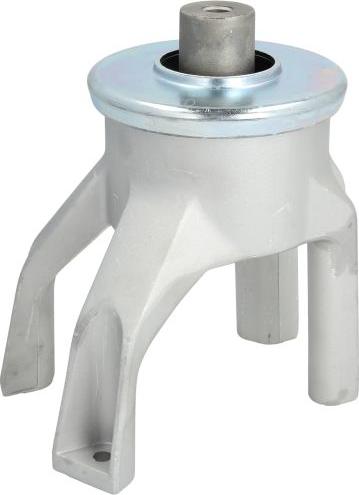 REINHOCH RH11-0125 - Подушка, підвіска двигуна autocars.com.ua