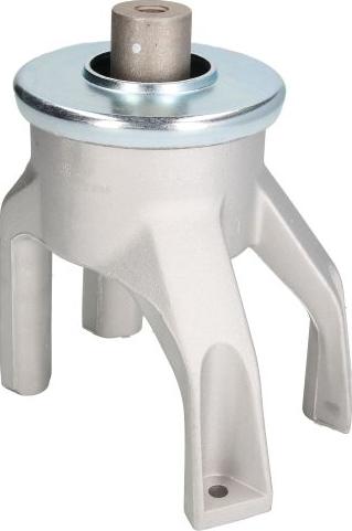 REINHOCH RH11-0126 - Подушка, підвіска двигуна autocars.com.ua