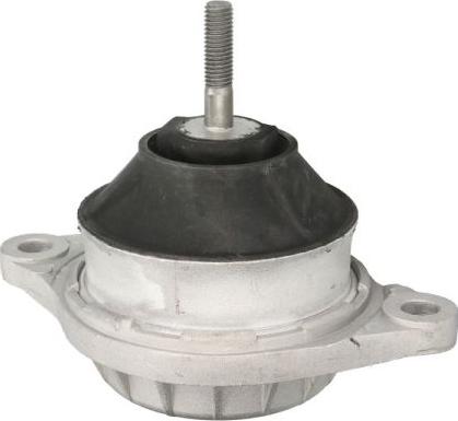 REINHOCH RH11-0183 - Подушка, підвіска двигуна autocars.com.ua