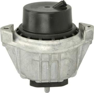 REINHOCH RH11-3033 - Подушка, підвіска двигуна autocars.com.ua