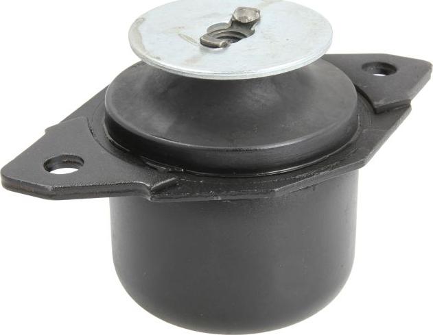 REINHOCH RH12-0007 - Подушка, підвіска двигуна autocars.com.ua