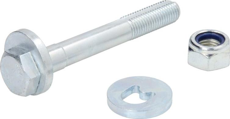 REINHOCH RH21-3003 - Ремкомплект, поворотний кулак autocars.com.ua