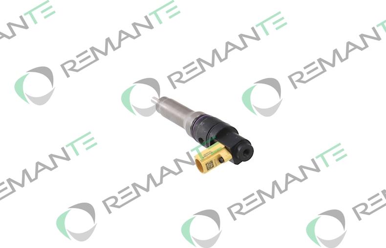 REMANTE 002-003-002113R - Форсунка дизельна, розпилювач і утримувач autocars.com.ua