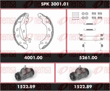 Remsa SPK 3001.01 - Комплект тормозных колодок, барабанные avtokuzovplus.com.ua