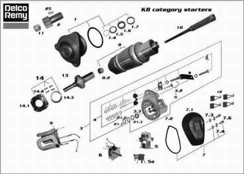 Remy 19024007 - Стартер autocars.com.ua