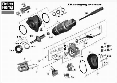 Remy 19024012 - Стартер autocars.com.ua