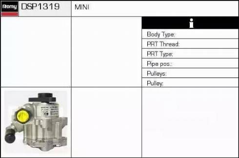 Remy DSP1319 - Гидравлический насос, рулевое управление, ГУР avtokuzovplus.com.ua