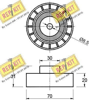 REPKIT RKT1166 - Паразитний / провідний ролик, поліклиновий ремінь autocars.com.ua