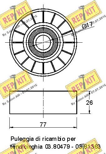 REPKIT RKT1699 - Паразитний / провідний ролик, поліклиновий ремінь autocars.com.ua