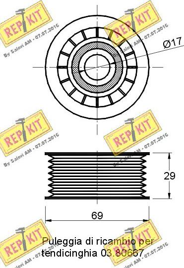 REPKIT RKT1713 - Паразитний / провідний ролик, поліклиновий ремінь autocars.com.ua