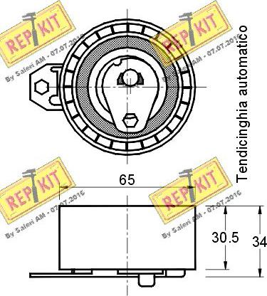 REPKIT RKT2110 - Натяжна ролик, ремінь ГРМ autocars.com.ua