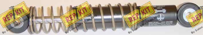 REPKIT RKT2400 - Амортизатор, поліклиновий ремінь autocars.com.ua