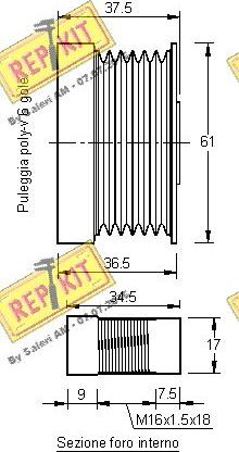 REPKIT RKT2421 - Ремінний шків, генератор autocars.com.ua