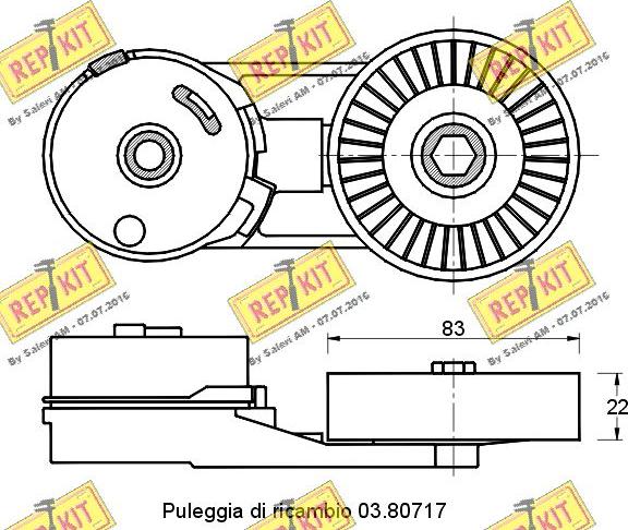 REPKIT RKT2432 - Натягувач ременя, клинові зуб. autocars.com.ua