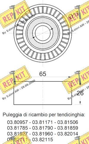 REPKIT RKT2674 - Паразитний / провідний ролик, поліклиновий ремінь autocars.com.ua