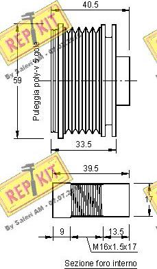 REPKIT RKT2956 - Ремінний шків, генератор autocars.com.ua