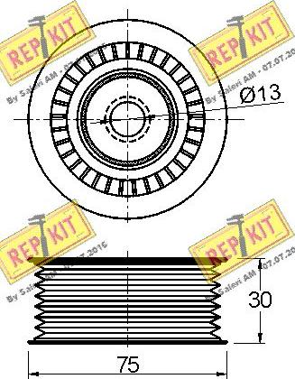 REPKIT RKT3102 - Паразитний / провідний ролик, поліклиновий ремінь autocars.com.ua