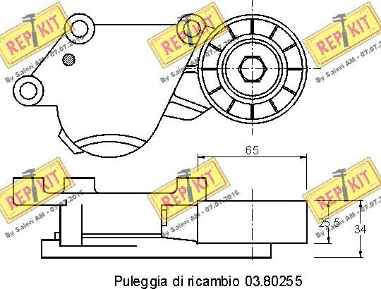 REPKIT RKT3125 - Паразитний / провідний ролик, поліклиновий ремінь autocars.com.ua