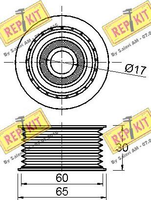 REPKIT RKT3130 - Паразитний / провідний ролик, поліклиновий ремінь autocars.com.ua