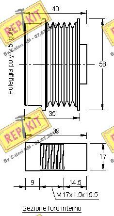 REPKIT RKT3176 - Шкив генератора, муфта autodnr.net