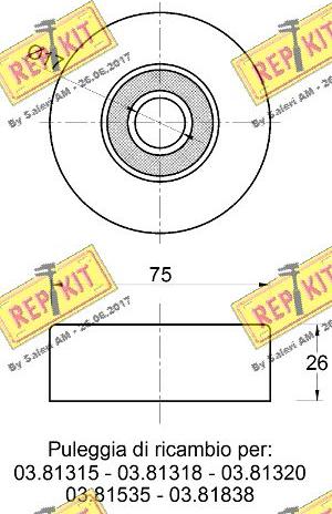 REPKIT RKT3630 - Паразитний / провідний ролик, поліклиновий ремінь autocars.com.ua