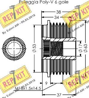 REPKIT RKT3809 - Ремінний шків, генератор autocars.com.ua