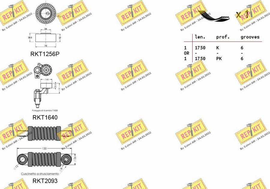 REPKIT RKTA0094 - Поликлиновий ремінний комплект autocars.com.ua