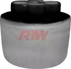 RIW FI11037 - Сайлентблок, рычаг подвески колеса autodnr.net